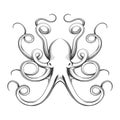 Engraved octopus vector icon