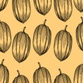 Engraved pattern of cocoa beans