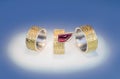 Engraved rings with Granat Royalty Free Stock Photo