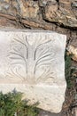 Engraved stone tablet with tree image, Ephesus Ancient City, Izmir, Turkey