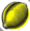 Engraved vector illustration of a lemon
