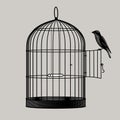 Engraved vintage drawing of a bird perched on the open door of a birdcage Royalty Free Stock Photo