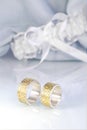 Engraved wedding rings 4 Royalty Free Stock Photo