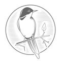 Engraving bird nightingale emblem vector Royalty Free Stock Photo