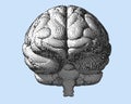 Engraving brain illustration in front view on blue BG Royalty Free Stock Photo