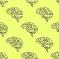 Engraving brain illustration, Hand Drawn Anatomical seamless pattern. Vector Royalty Free Stock Photo