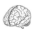 Engraving brain illustration. Hand drawn vector illustration.