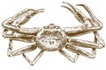 Engraving drawing illustration of chionoecetes opilio crab Royalty Free Stock Photo