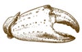 Engraving drawing illustration of crab claw Royalty Free Stock Photo