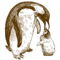 Engraving drawing illustration of emperor penguin and nestling