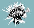engraving fish lion. Graphic illustration of a poisonous fish. Realistic Lion Fish Royalty Free Stock Photo