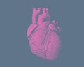 Engraving human heart illustration on blue BG Royalty Free Stock Photo