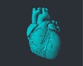 Engraving human heart illustration Royalty Free Stock Photo