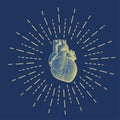 Engraving human heart illustration on dark blue BG Royalty Free Stock Photo