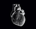 Engraving human heart illustration isolated on black BG Royalty Free Stock Photo
