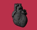 Engraving human heart illustration Royalty Free Stock Photo