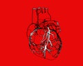 Engraving Human heart stylized isolated on red BG