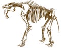 Engraving illustration of deinotherium skeleton Royalty Free Stock Photo