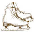 Engraving illustration of ice skating shoes and blades Royalty Free Stock Photo