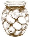 Engraving illustration of olives bottle