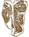 Engraving illustration of T-bone steak