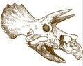 Engraving illustration of triceratops dinosaur Royalty Free Stock Photo