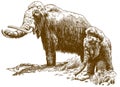 Engraving illustration of two woolly mammoths Royalty Free Stock Photo