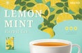 Engraving lemon mint tea ads Royalty Free Stock Photo