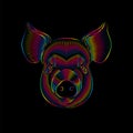 Engraving of stylized psychedelic pig portrait in spectrum colors