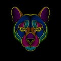 Engraving of stylized psychedelic puma on black background