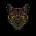 Engraving of stylized psychedelic puma on black background