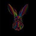 Engraving of stylized psychedelic rabbit portrait in spectrum colors