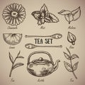 Engraving a tea set: chamomile, lemon balm, mint, lemon, spoons, rose, tea leaves, kettle. A vintage set of a tea Royalty Free Stock Photo