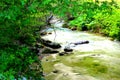 Ambro river streaming downhill with vegetation Royalty Free Stock Photo