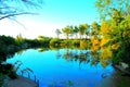 View at Lago Profondo in Portonovo with waters and vegetation Royalty Free Stock Photo