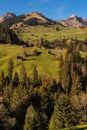 Engstligental south of Adelboden in the Alps Switzerland