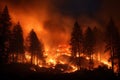 engulfed forest fires, environmental problems and disaster