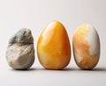 Unearth the Beauty: Four Unique Stone Pieces on a Blank Canvas