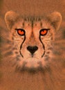 Enhanced cheetah