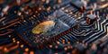 Enhancing Cybersecurity and Encryption Technology: A Closeup of a Circuit Board with a Fingerprint