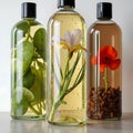 Enigmatic Elixir: Citrus, Tea, Cucumber, Iris, Carnation, Poppy & More