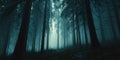 Enigmatic Forest A Deep Dive into Mystical Woods Royalty Free Stock Photo