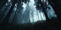 Enigmatic Forest Mystical Woods Background for Design Projects Royalty Free Stock Photo