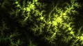 Enigmatic Green Fractal Patterns on Dark Background Royalty Free Stock Photo