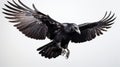 Enigmatic Raven In Flight: A Stunning Photo By Matthias Haker