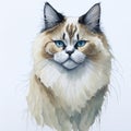 Enigmatic Whispers: A Captivating Watercolor Portrait of a Mysterious Ragdoll Cat