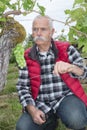 Enior man tending grapevines with bunch green grapes