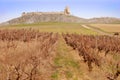 Enisala fortress and vineyards Royalty Free Stock Photo