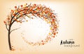 Enjoy Autumn background with tree and colorful leaves. Royalty Free Stock Photo