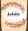 Enjoy Autumn Sale background with trees and colorful leaves Royalty Free Stock Photo